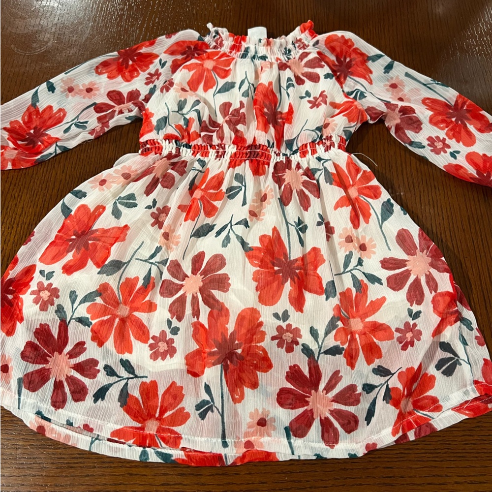 Carter's Vibrant Red and White Floral Dress